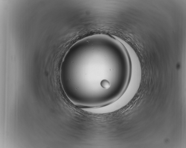 X0000095520769200712211302