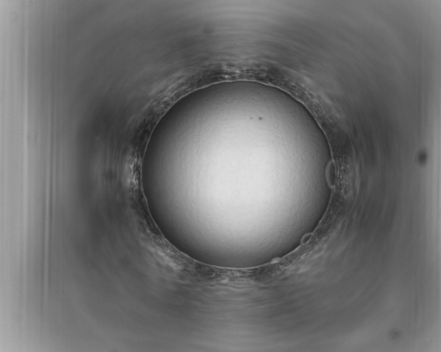 X0000095520770200712211302