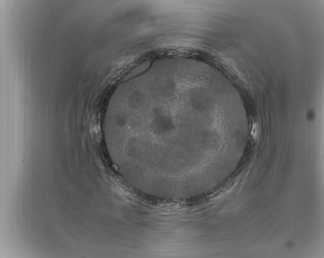 X0000095520771200712211302