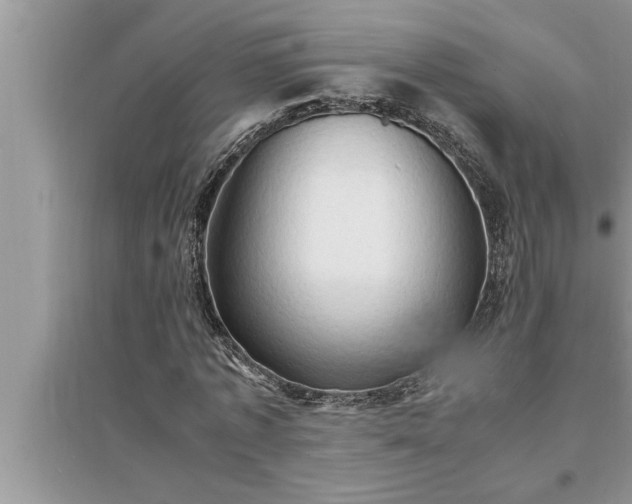 X0000095520773200712211302