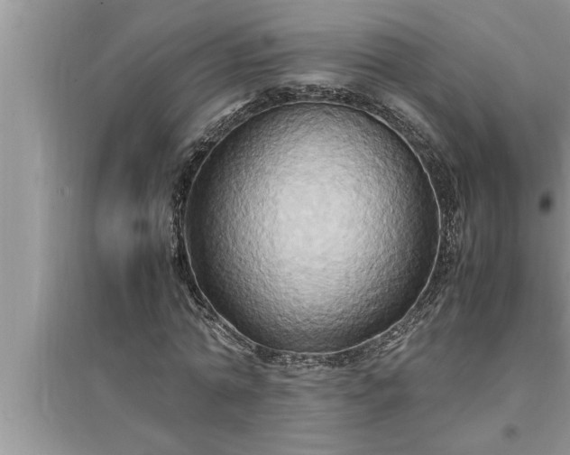 X0000095520774200712211302