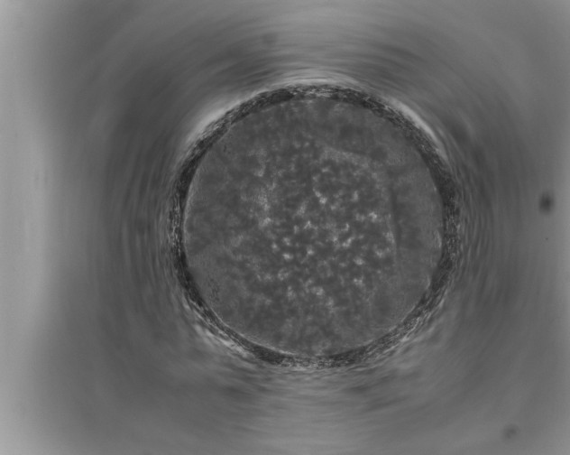 X0000095520775200712211302