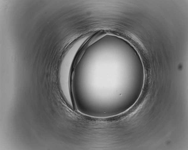 X0000095520777200712211302