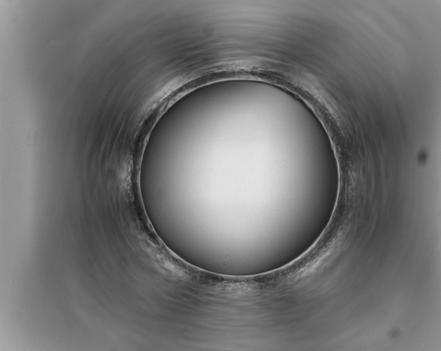 X0000095520778200712211302