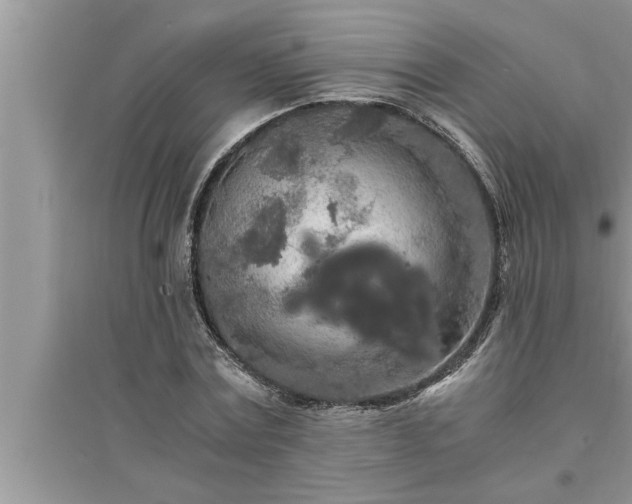 X0000095520779200712211302