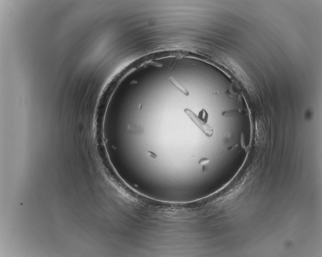 X0000095520780200712211302
