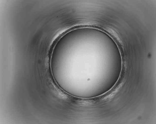 X0000095520781200712211302