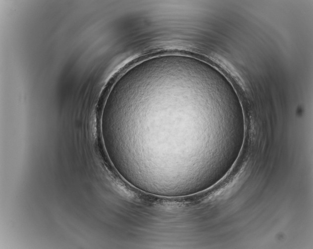 X0000095520782200712211302