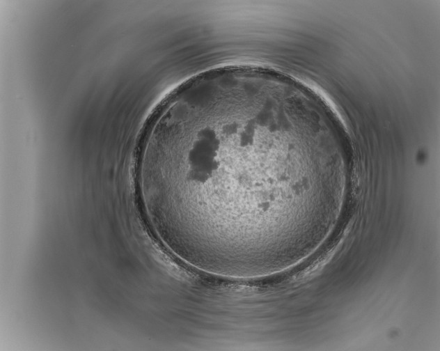 X0000095520783200712211302