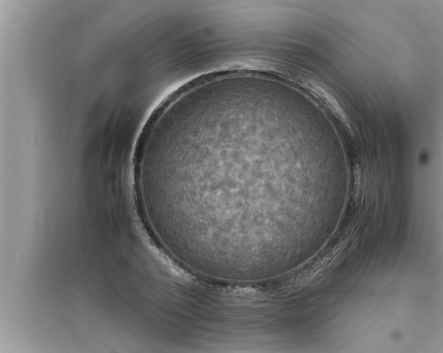 X0000095520784200712211302