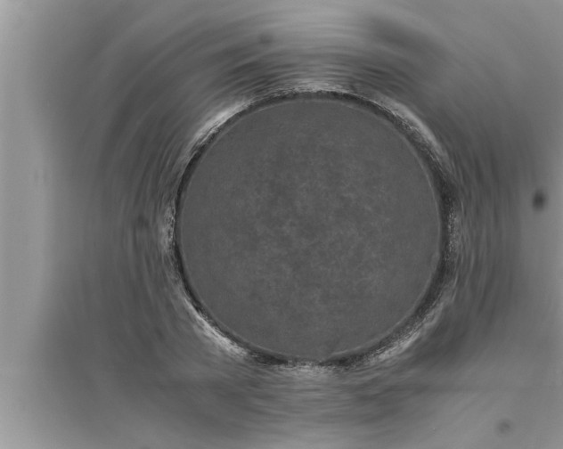 X0000095520785200712211302