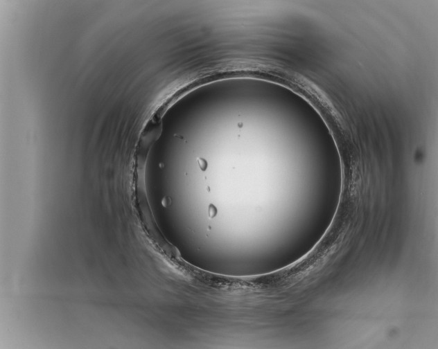 X0000095520786200712211302