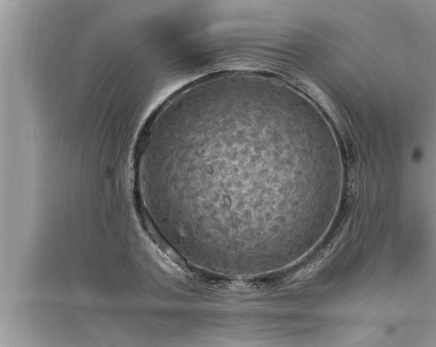 X0000095520787200712211302