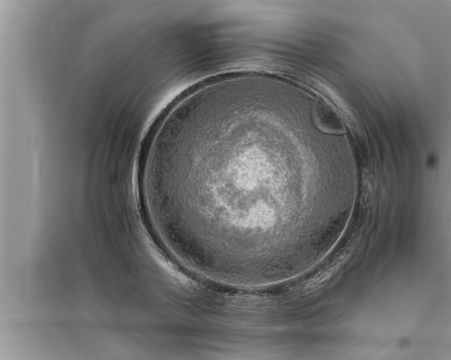 X0000095520788200712211302