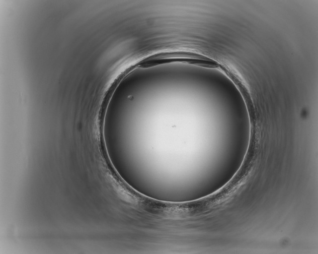 X0000095520789200712211302