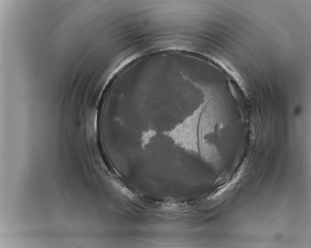 X0000095520790200712211302