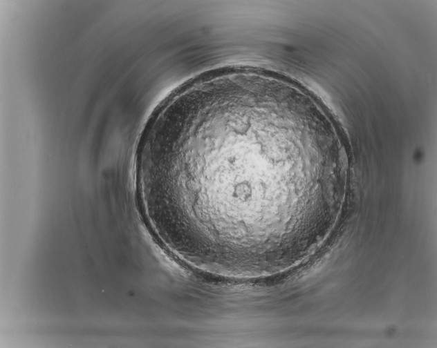 X0000095520791200712211302