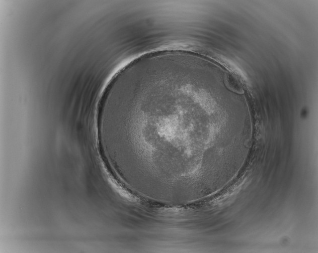 X0000095520792200712211302