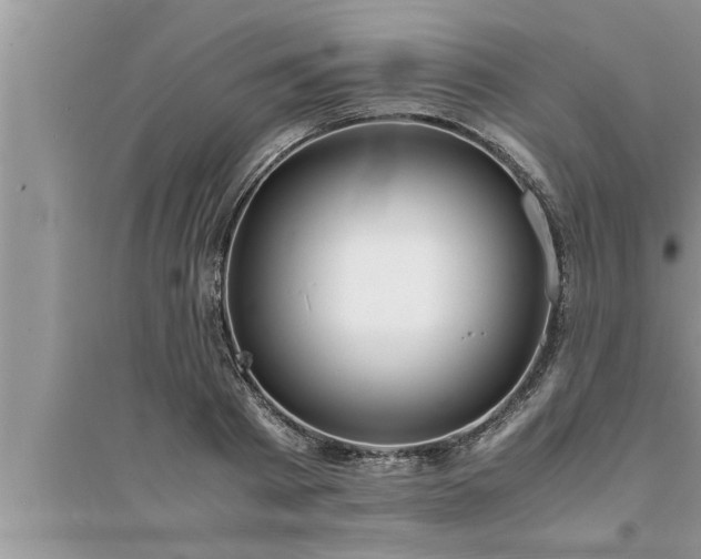 X0000095520793200712211302