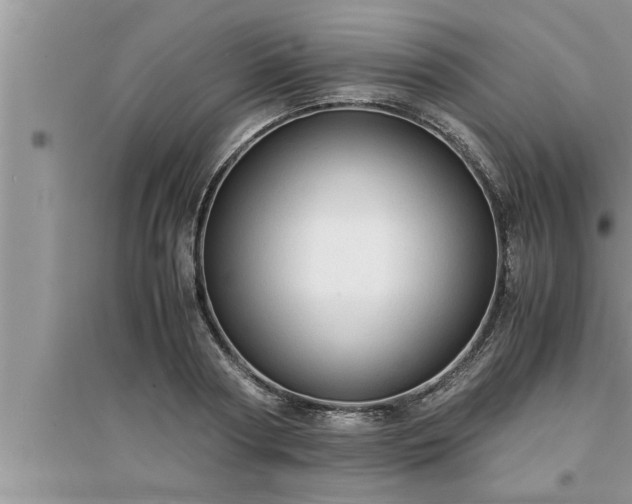 X0000095520794200712211302