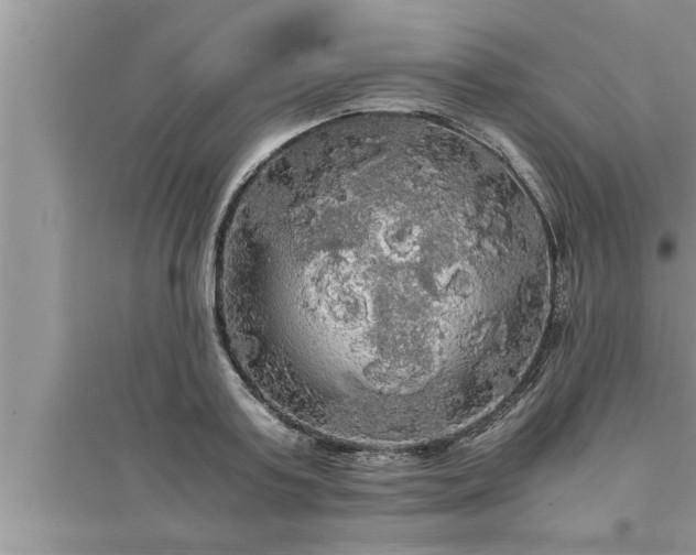 X0000095520795200712211302