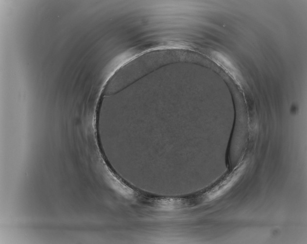 X0000095520797200712211302