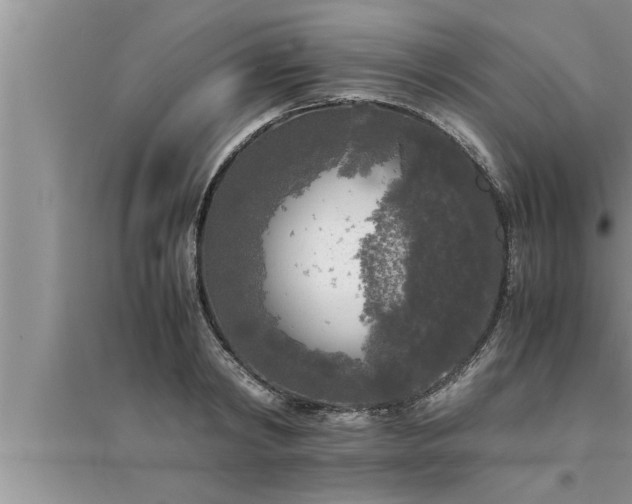 X0000095520798200712211302