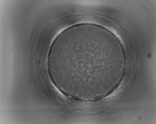 X0000095520799200712211302