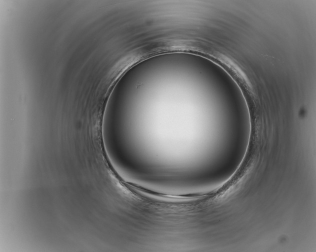 X0000095520801200712211302