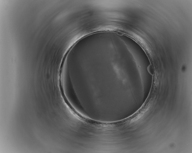 X0000095520802200712211302