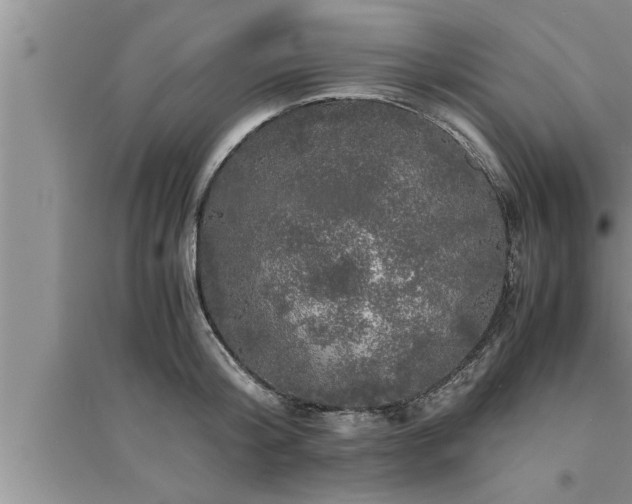 X0000095520804200712211301