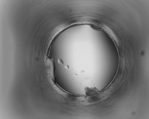 X0000095520805200712211301