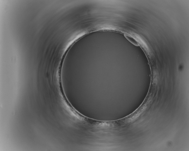 X0000095520806200712211301