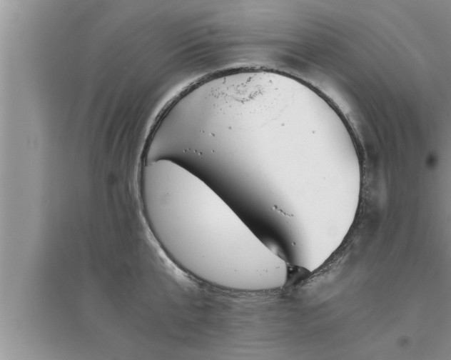 X0000095520807200712211301