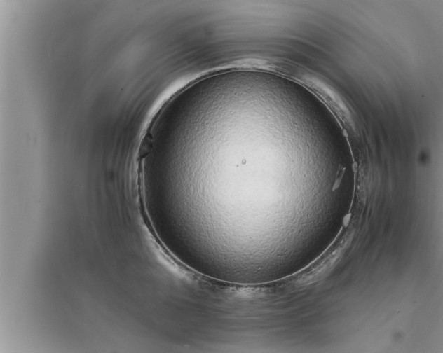 X0000095520808200712211301