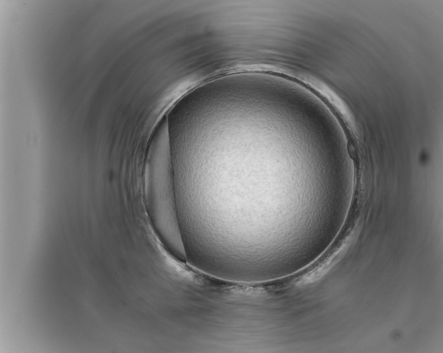 X0000095520809200712211301