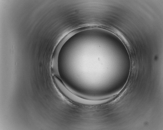 X0000095520810200712211301