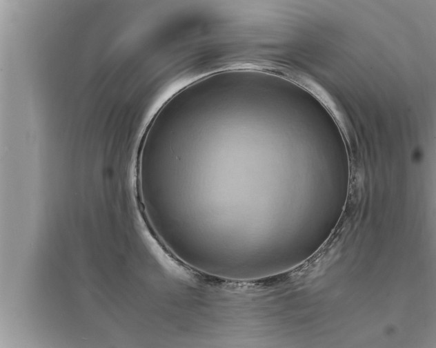 X0000095520811200712211301