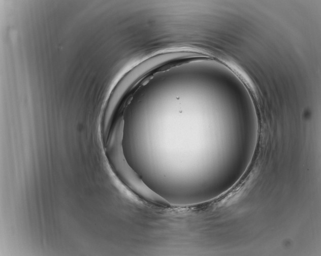 X0000095520813200712211301