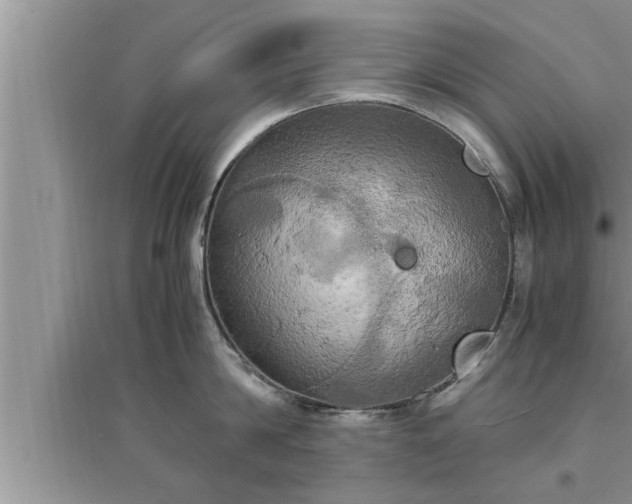 X0000095520814200712211301