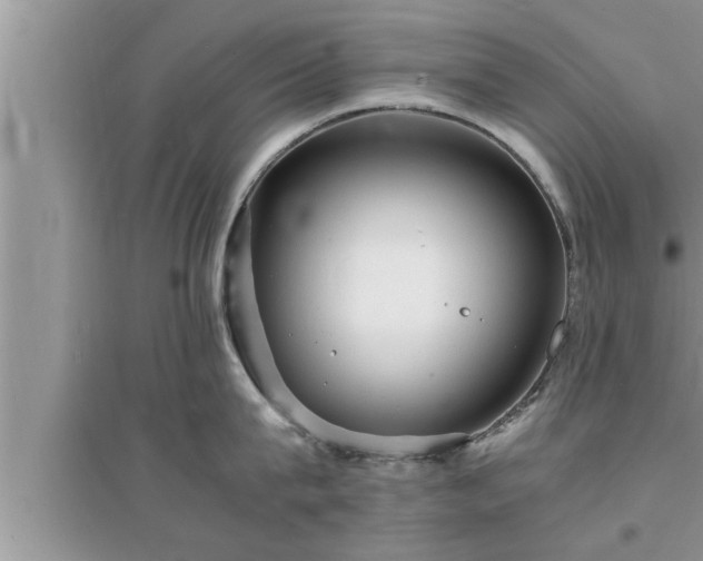 X0000095520815200712211301