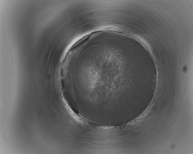 X0000095520816200712211301