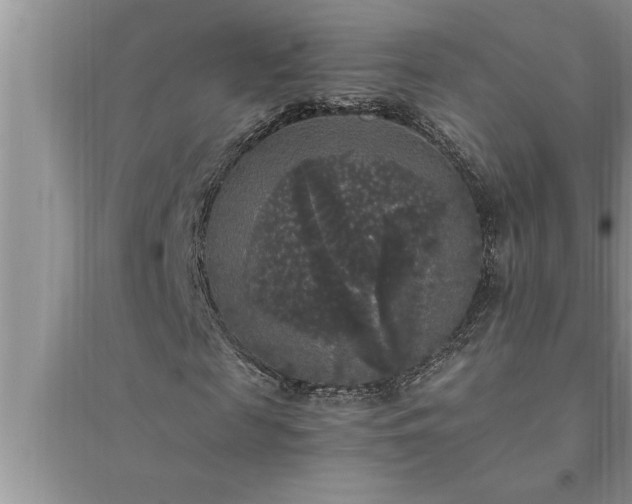 X0000095520817200712211301