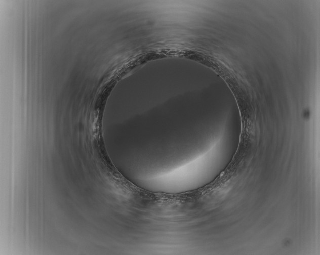 X0000095520818200712211301