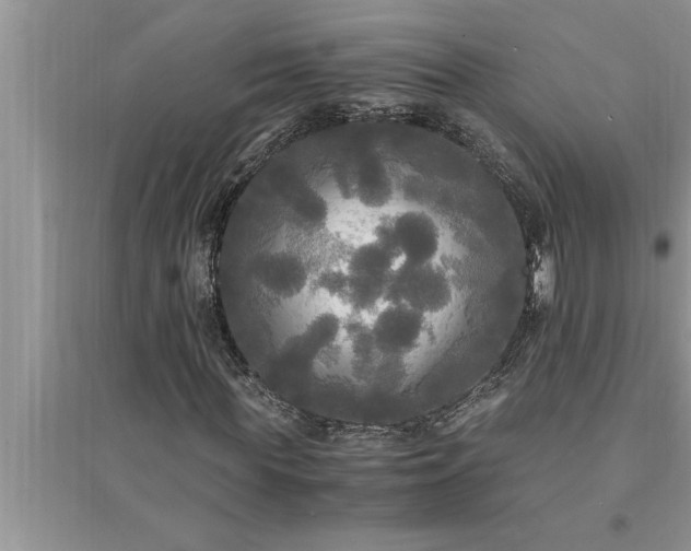 X0000095520819200712211301