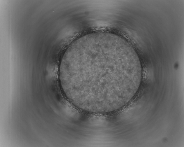 X0000095520820200712211301