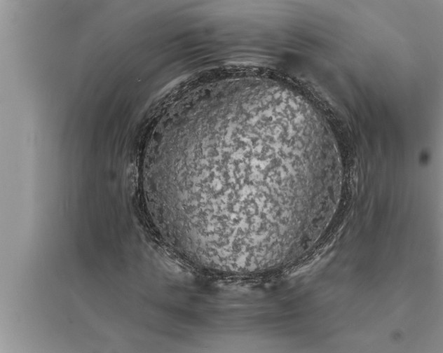 X0000095520821200712211301