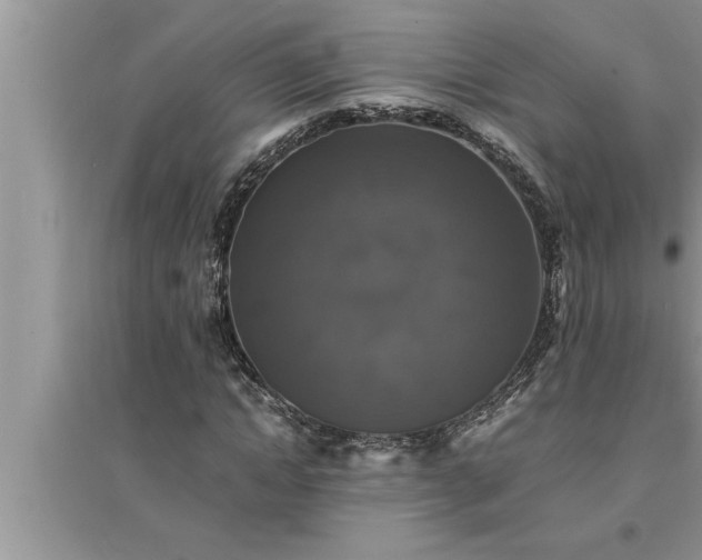 X0000095520822200712211301