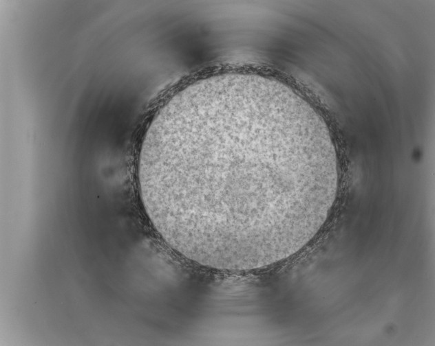 X0000095520824200712211301