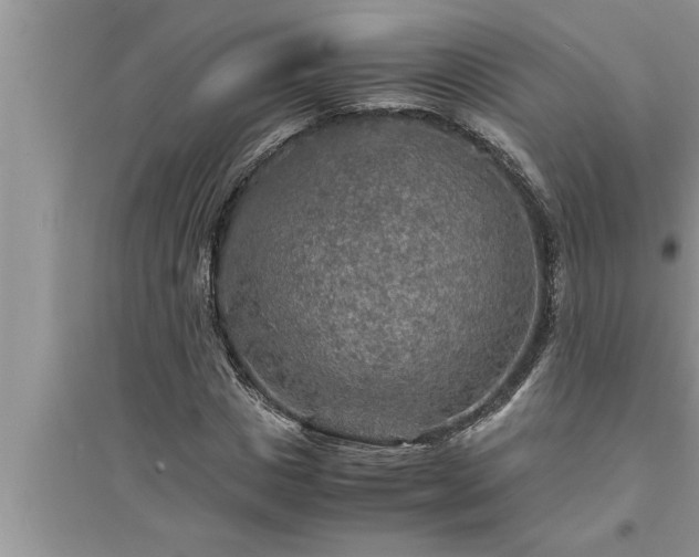 X0000095520825200712211301